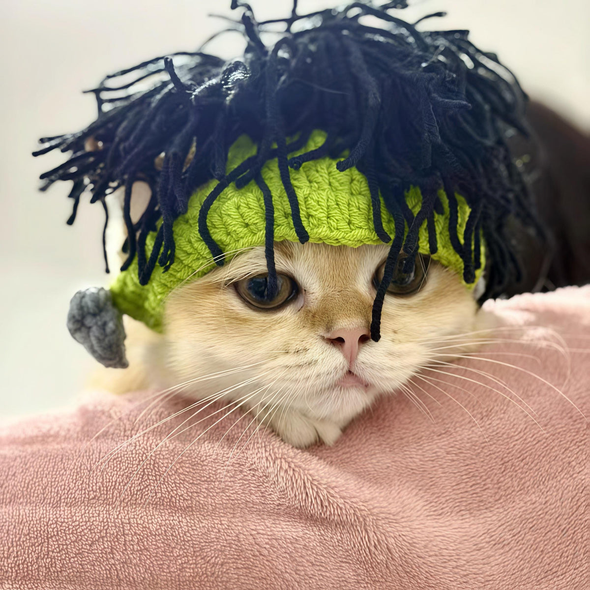 Handmade Crochet Pet Wig Hat Green Punk Mohawk Headgear