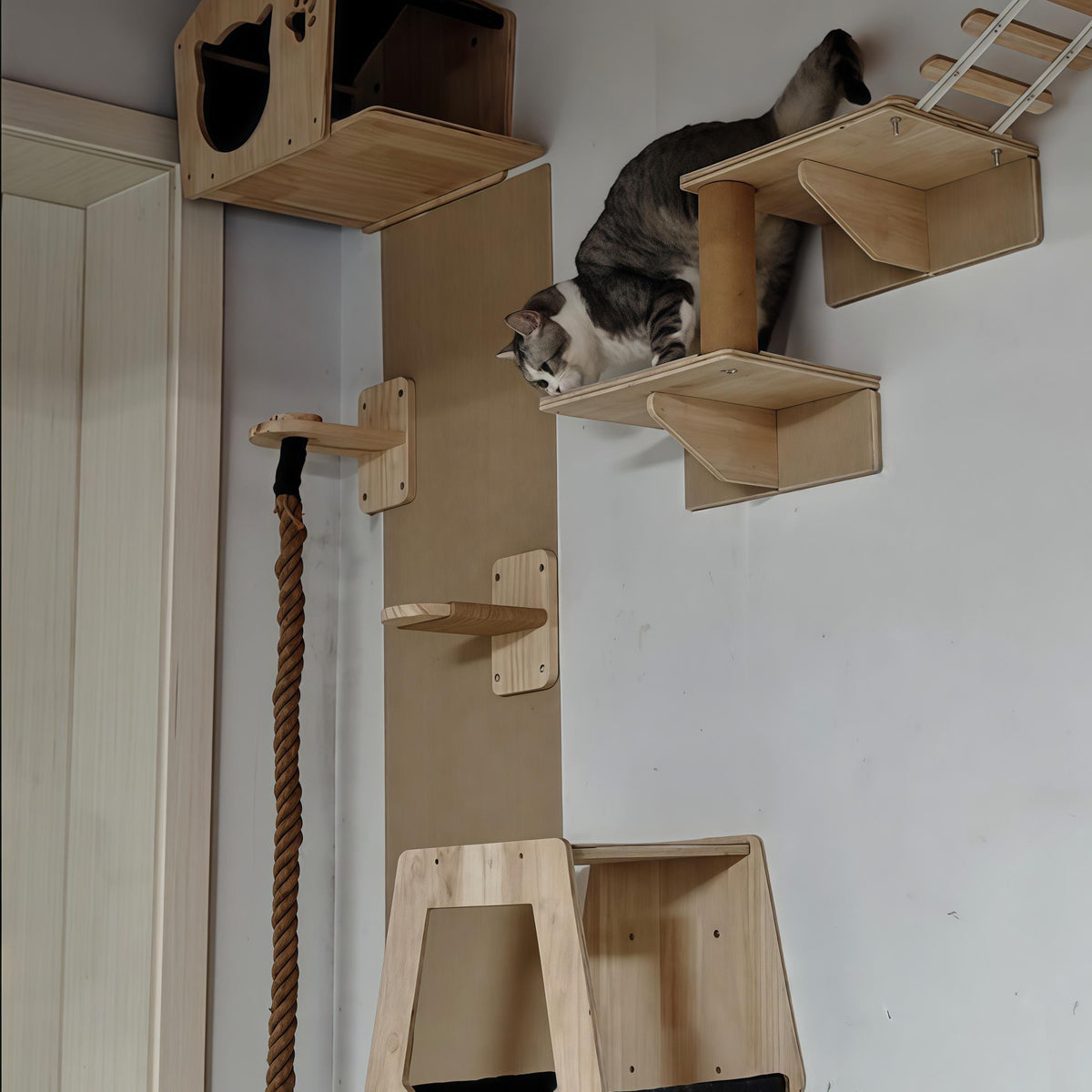 Wall Cat Scratcher, Cat Climbing Rope, Indoor Cat Playground & Enrichment