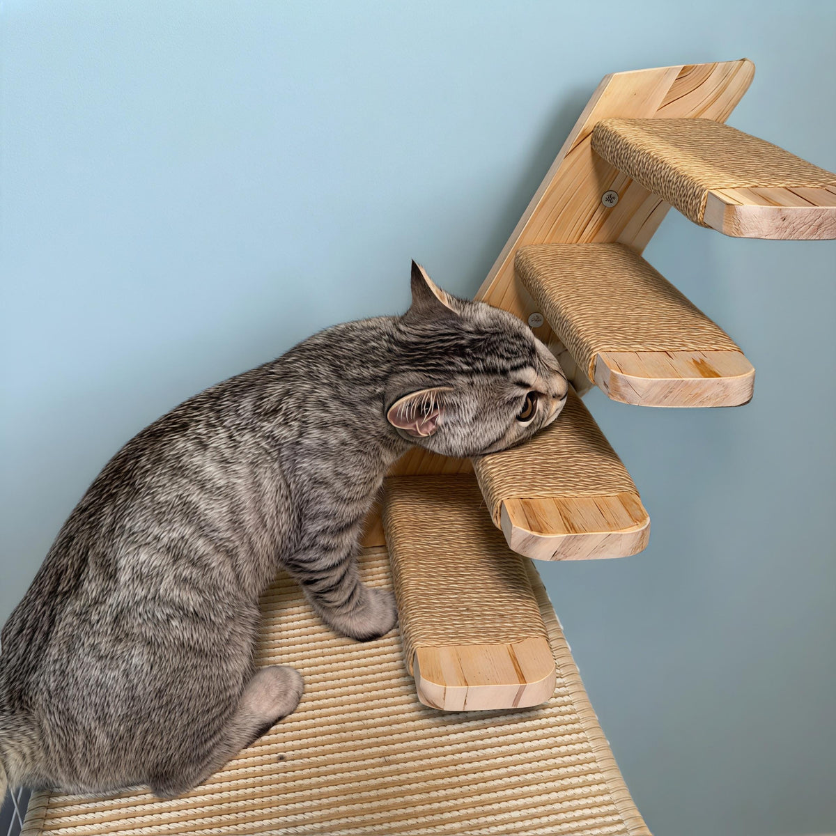 Cat Perch Wall Ladder, Wooden Cat Shelves with Sisal Steps