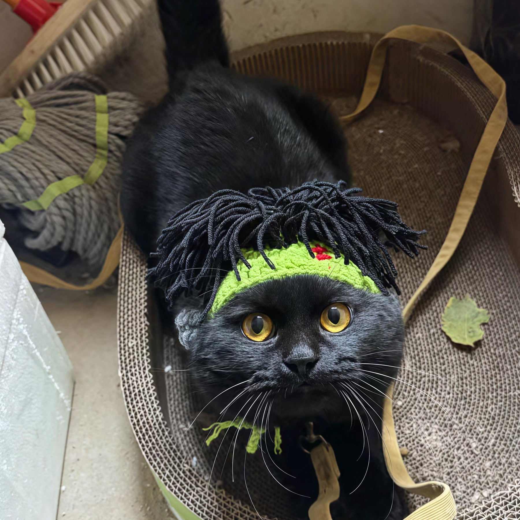 Handmade Crochet Pet Wig Hat Green Punk Mohawk Headgear