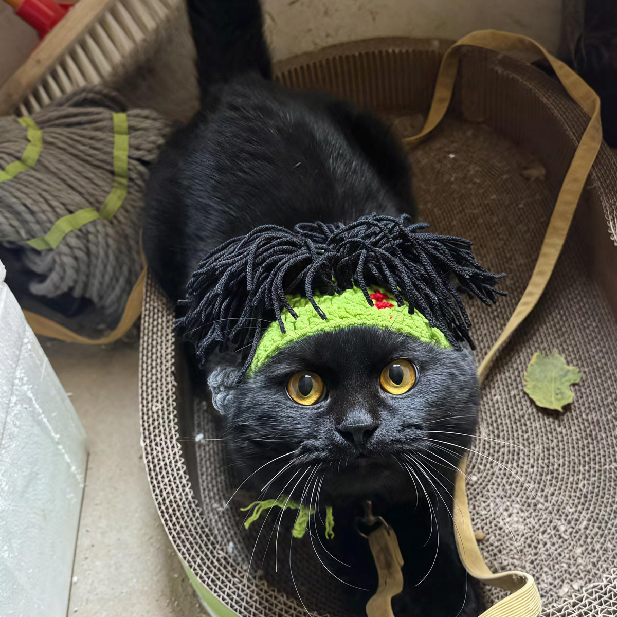 Handmade Crochet Pet Wig Hat Green Punk Mohawk Headgear