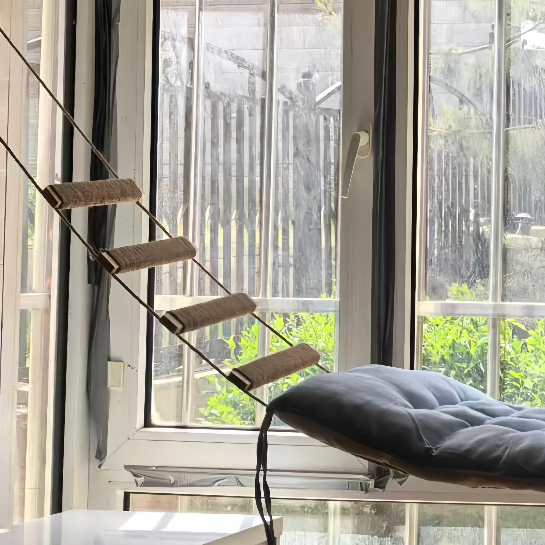 Cat Climbing Rope Ladder