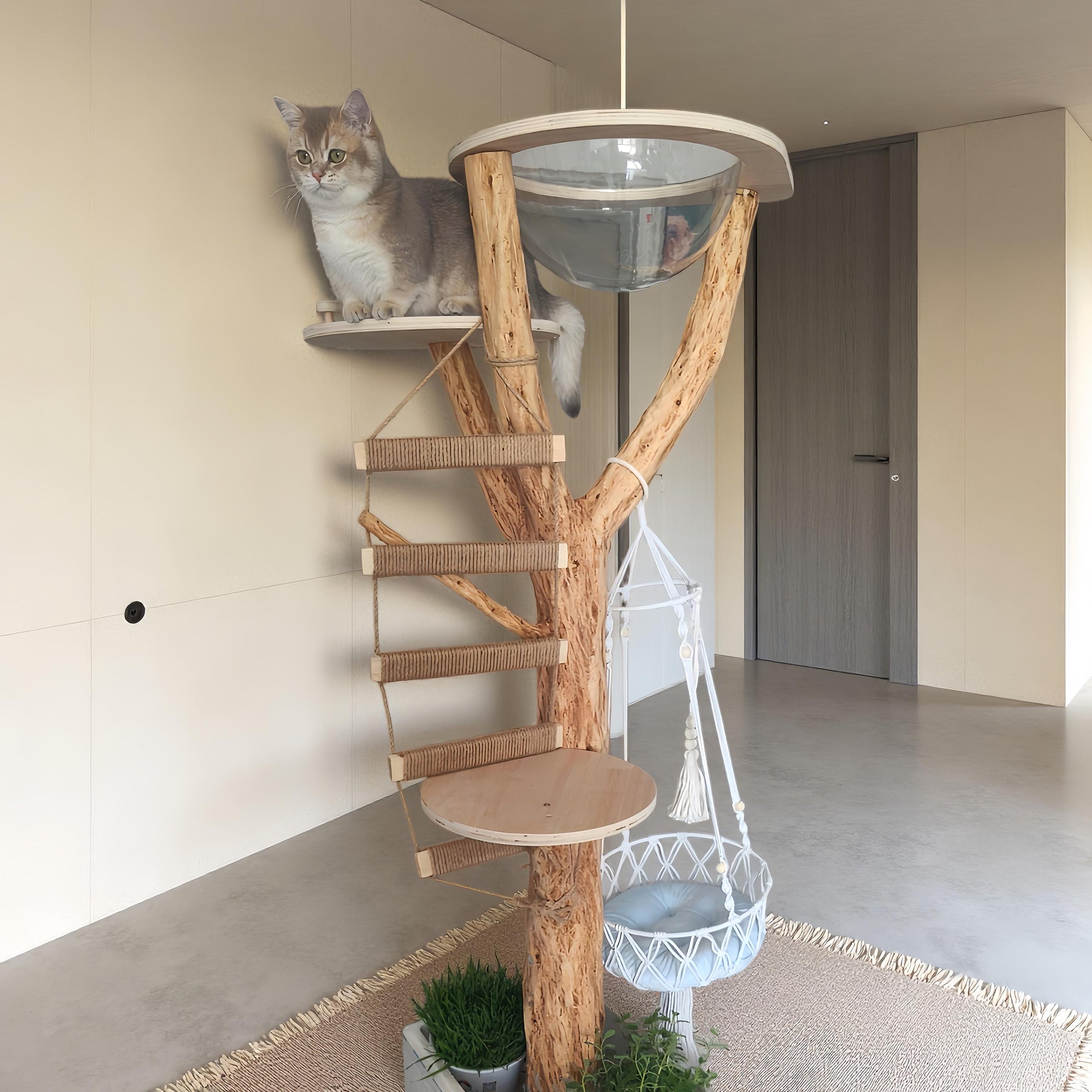 Cat Climbing Rope Ladder