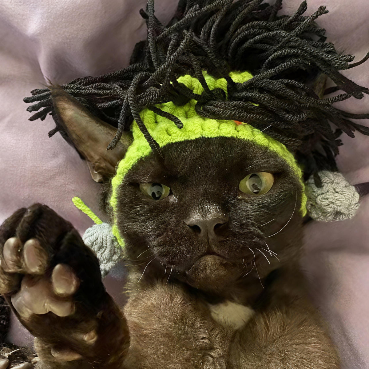 Handmade Crochet Pet Wig Hat Green Punk Mohawk Headgear