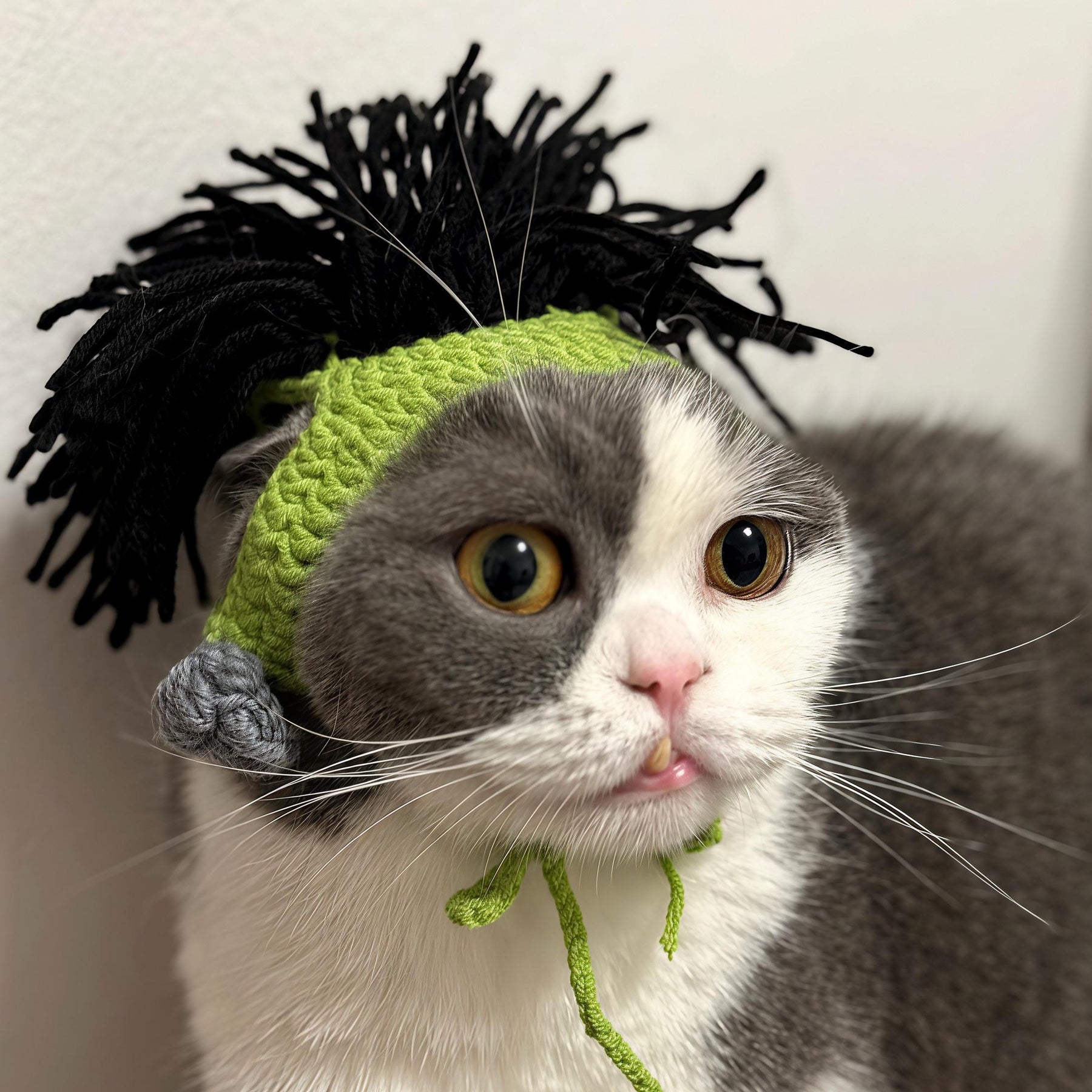 Handmade Crochet Pet Wig Hat Green Punk Mohawk Headgear