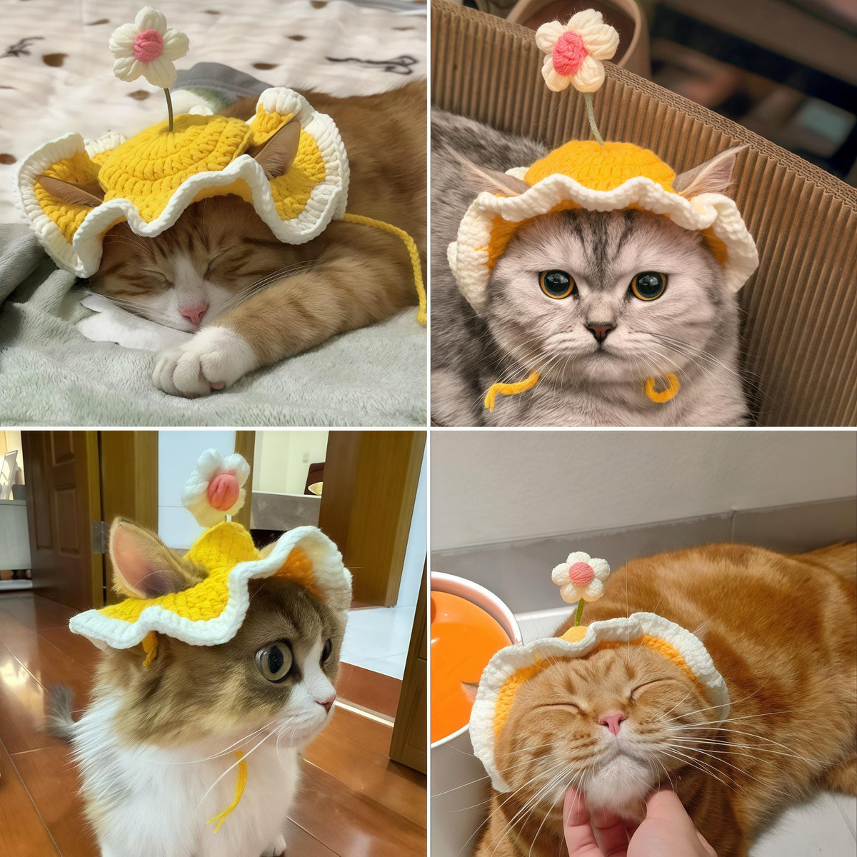 Four cats wearing the sunflower yellow daisy ruffle pet bonnet