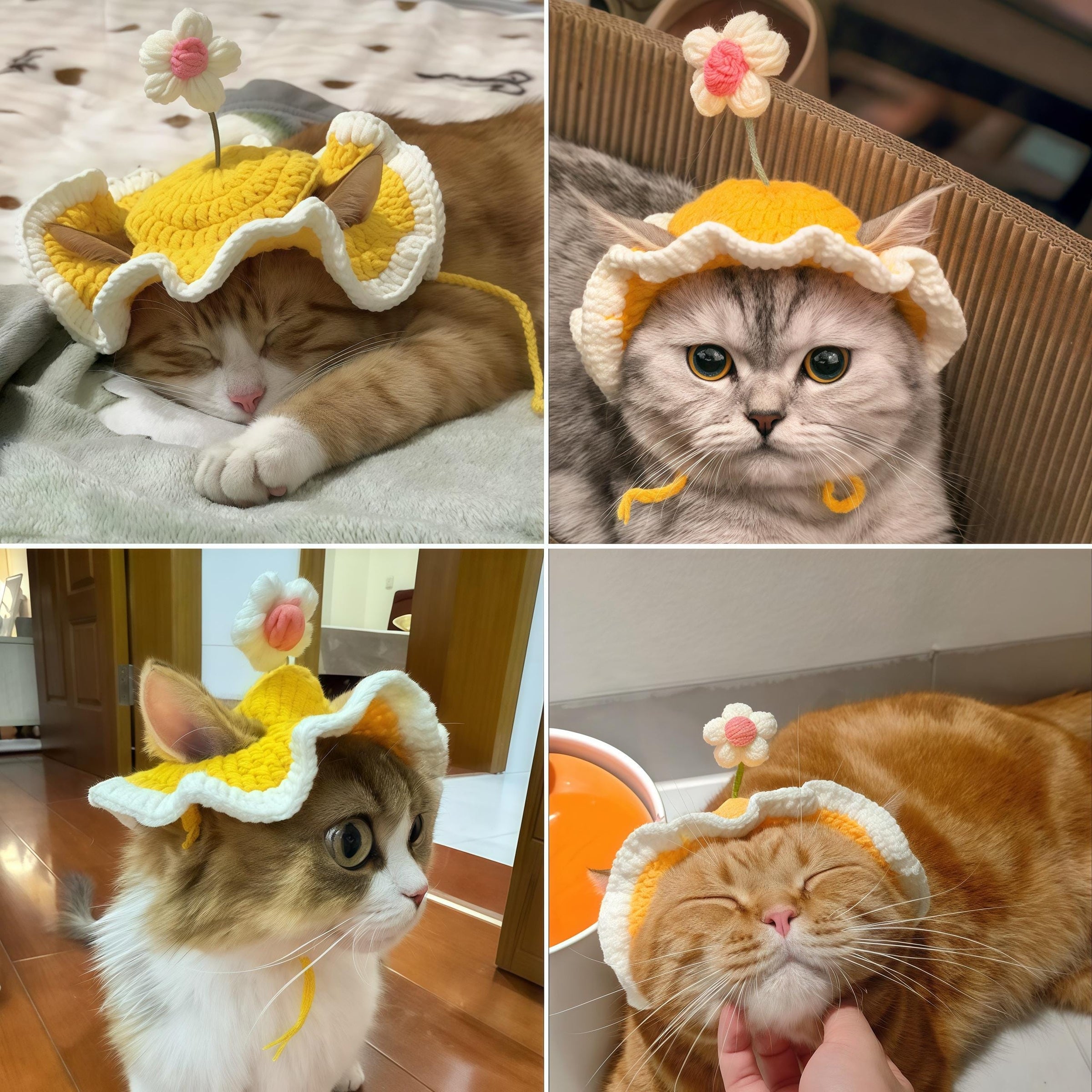 Four cats wearing the sunflower yellow daisy ruffle pet bonnet